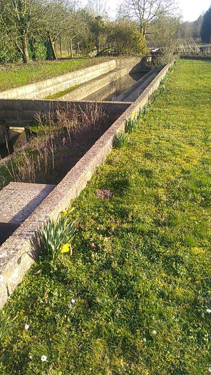 Gite Du Pont De Tancelle Préaux Exteriör bild